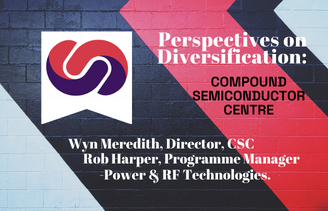 Perspectives on Diversification Series