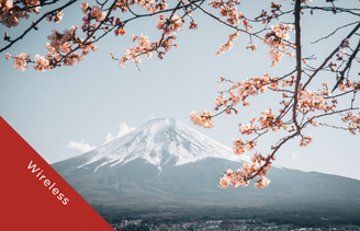 Image with cherry blossom in the foreground of Mount Fuji